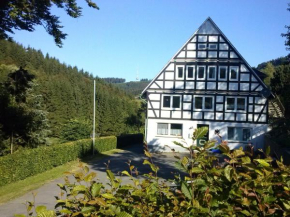 Гостиница Haus Höhenflug  Шмалленберг
